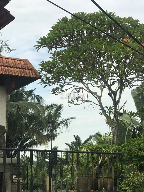 Section 5, Petaling Jaya