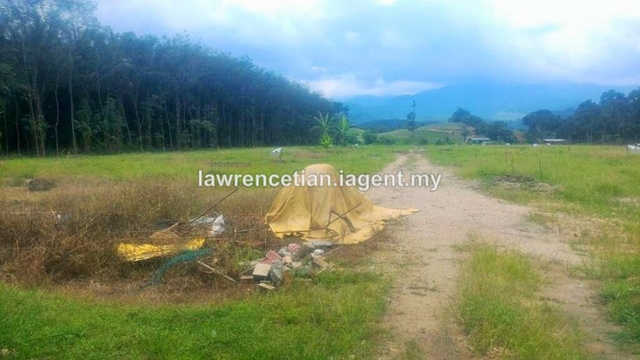 Karak Bentong Durian Land, Bentong