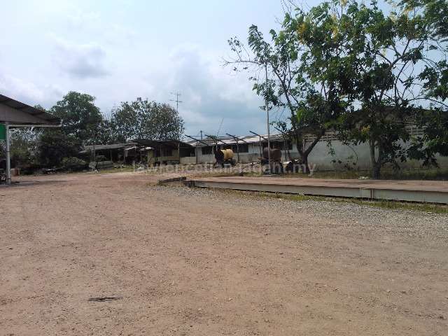 Yong Peng Palm Oil Estate Land, Yong Peng