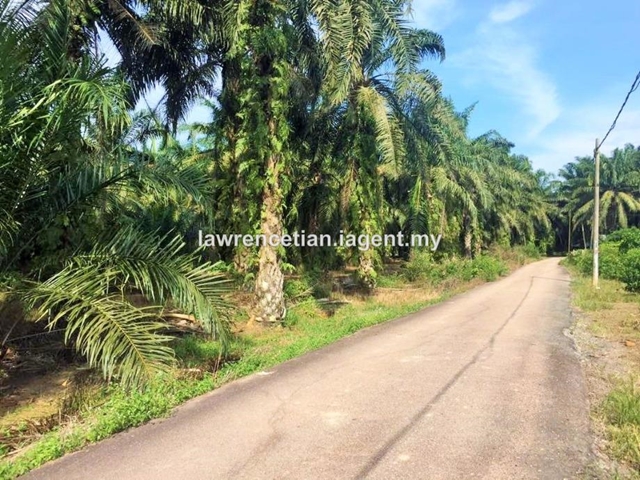 Yong Peng Land, Yong Peng