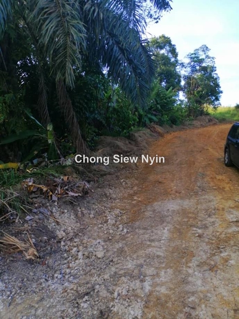 Freehold palm land, Kelapa Sawit, Kulai