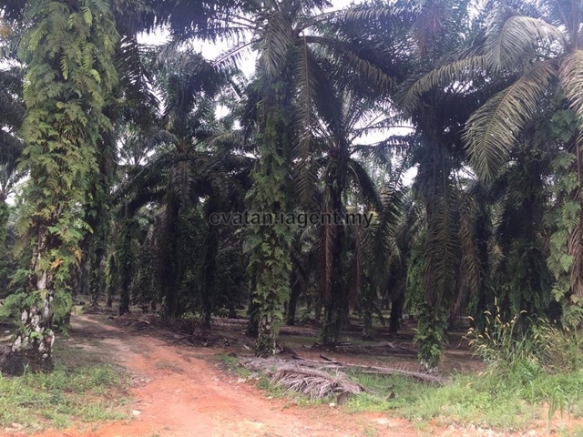 Mukim Jeram Batu, District of Pontian, Gelang Patah
