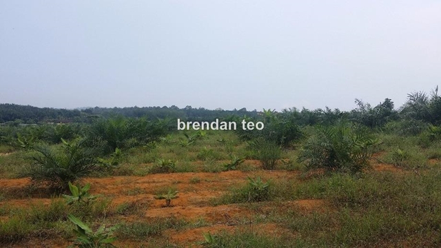 JOHOR Sungai tiram 14 acres industrial land, ulu tiram, Johor Bahru