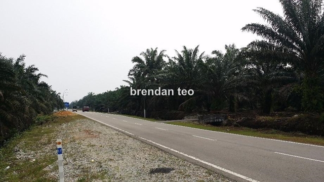 JOHOR PEKAN NENAS 16 ACRES INDUSTRY LAND., PEKAN NENAS, Johor Bahru