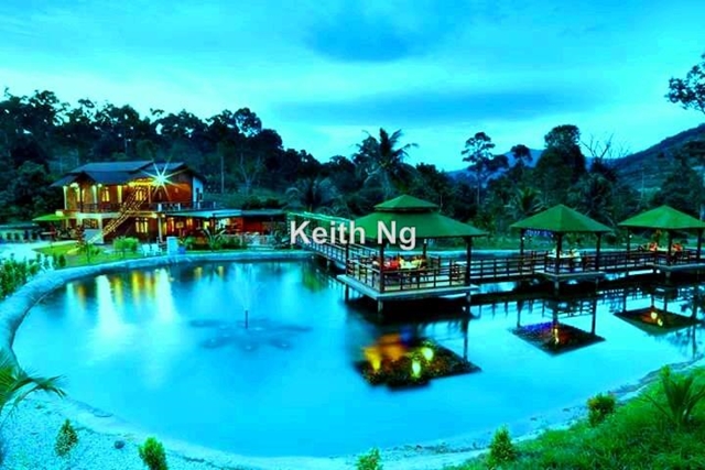 Homestay Raub, Pahang Agricultural Land for sale in Raub, Pahang