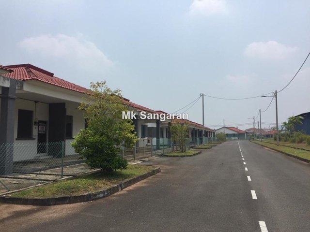 Arau