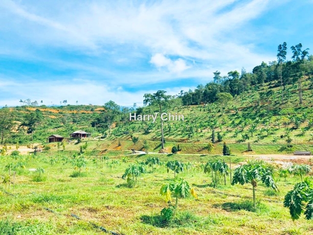 karak, Bentong Pahang, Raub