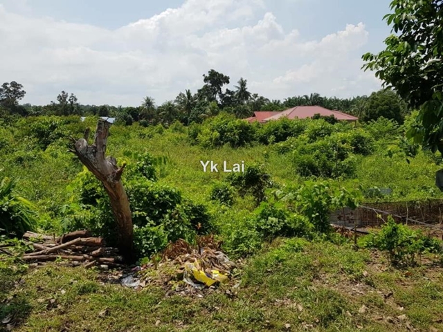 Agriculture Land, Machap,, Machap, Simpang Renggam,, Rengam