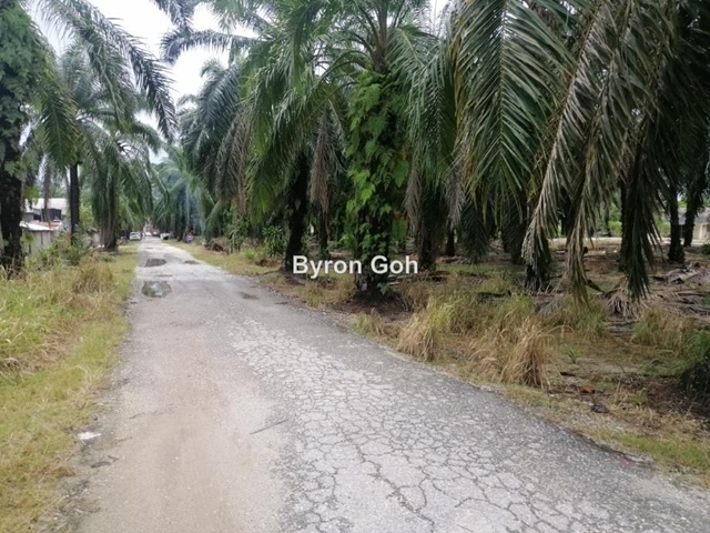 Ijok & Bistari Jaya, Sungai Buloh