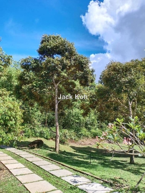 Raub , Resort / Durian Farm For Sale, Raub