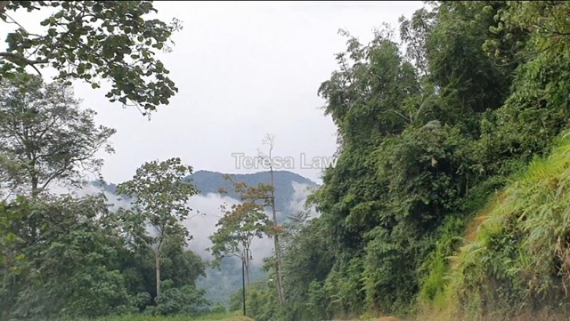 Tanarimba, Jandabaik, Bentong