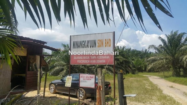 Kahang
