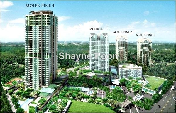 Molek Pine 4, Tebrau, Johor Bahru