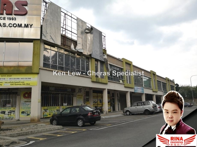 Marshall professors image