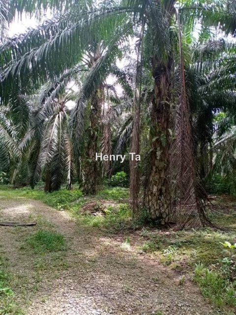 Klang