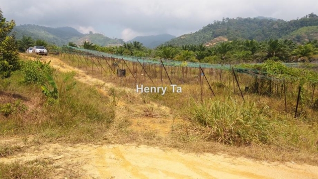 KAMPUNG SANG LEE, Raub