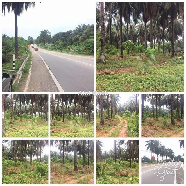 Dengkil