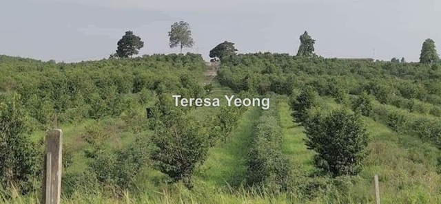 Pahang, Kuantan, Temerloh, Temerloh