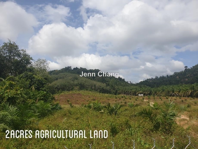 Jerantut