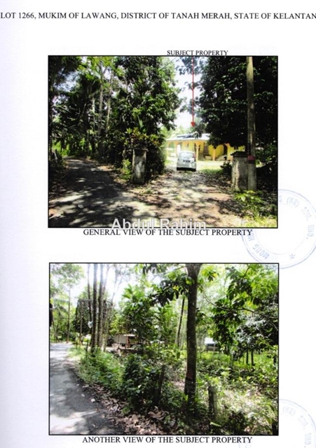 Tanah Merah