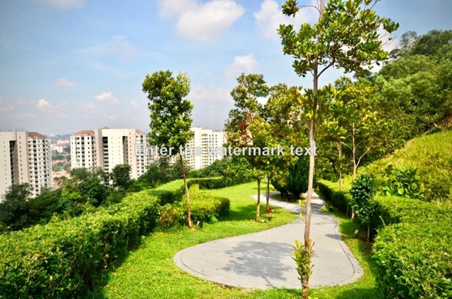 Santuari Park Pantai, Pantai