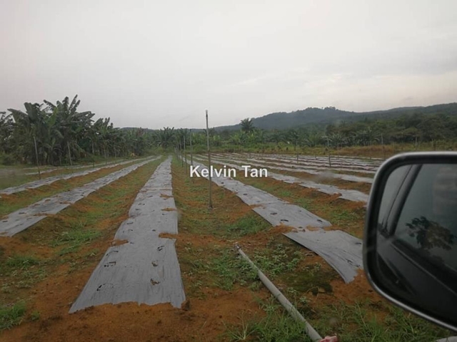 Mawai, Kota tinggi ,mawai, Kota Tinggi