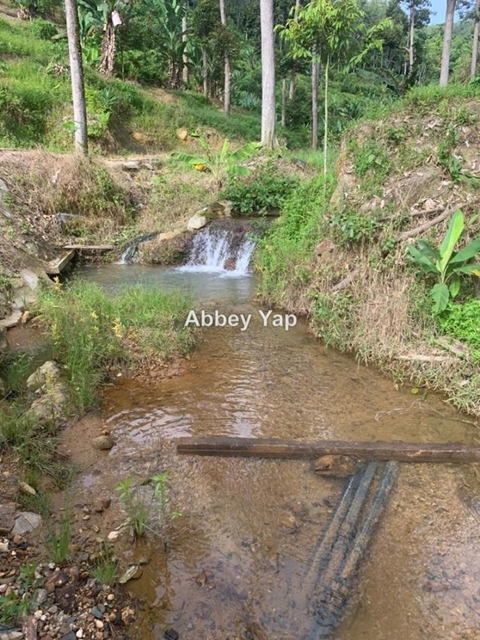Bentong