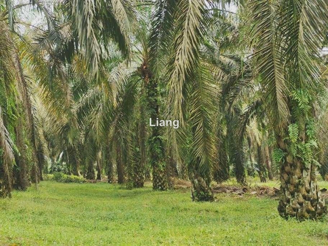 Kota Tinggi - Ulu Tiram land for sales, Johor Bahru