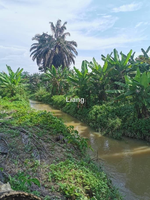 Sedenak, Kulai