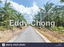 Kluang Sri Lalang, Kluang