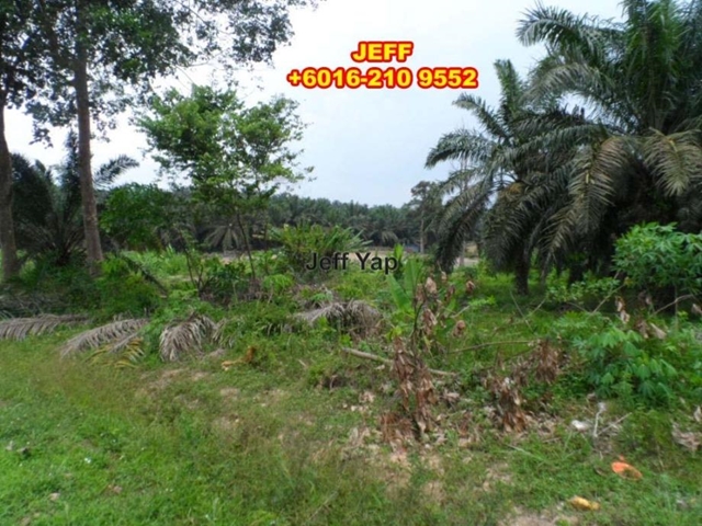 Seelong Land, Senai, Senai
