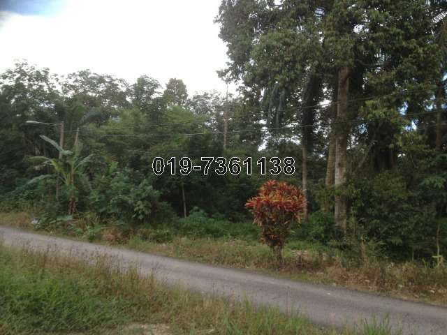 Pekan Kayu Ara Pasong Pontian Agricultural Land For Sale Iproperty Com My