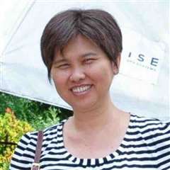 Lim Ah Lan