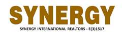 Synergy International Realtors